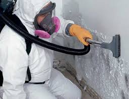 Best Forensic Mold Investigation  in Oquawka, IL